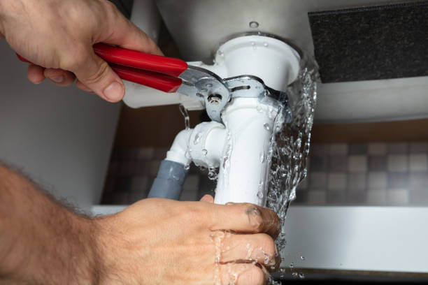 Best Sewage cleanup and water damage restoration  in Sappington, MO