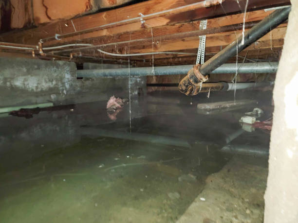 Best 24-hour water damage restoration  in Sappington, MO