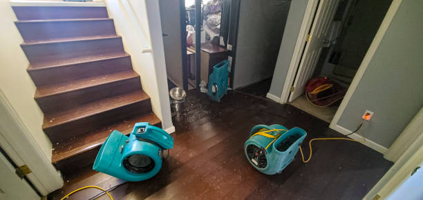 Best Fire Damage Restoration  in Sappington, MO