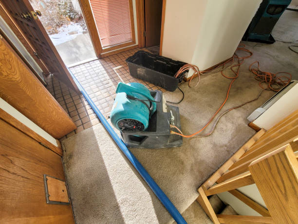 Best Flood restoration services  in Sappington, MO