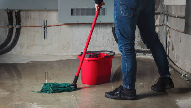 Best Emergency water damage restoration  in Sappington, MO