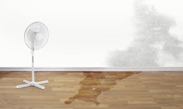 Water damage restoration insurance claims in Sappington, MO