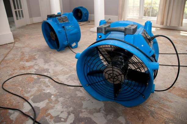  Sappington, MO Water damage restoration Pros